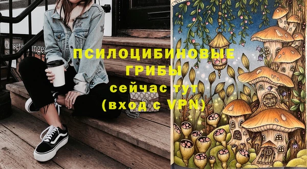 герыч Верхний Тагил