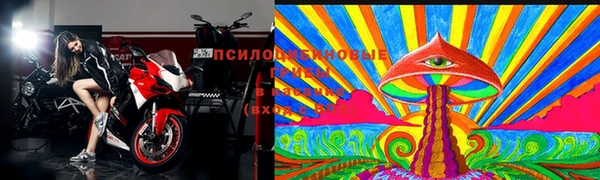 МДПВ Верея