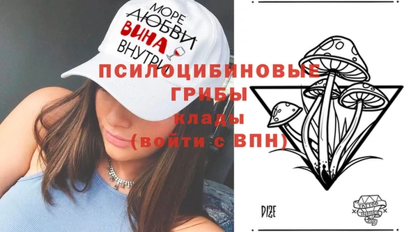 герыч Верхний Тагил